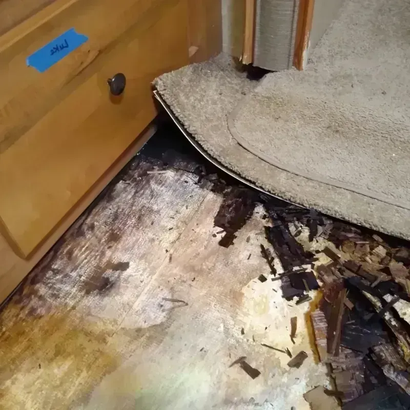 Best Wood Floor Water Damage Service in Millbrae, CA